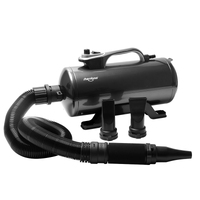 Shernbao Super Blaster Dual Motor Dryer DHD2400T