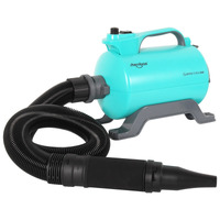 Shernbao Super Cyclone Single Motor Dryer SHD2600P [Spring Green]