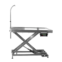 Electric Lifting Exam Table