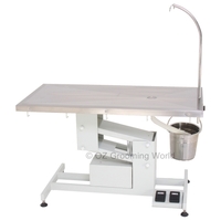 Economic Electric Lifting Vet Operation Table